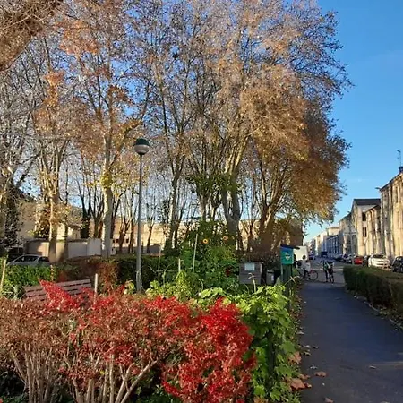 Cristal - Vue Sur Cour *